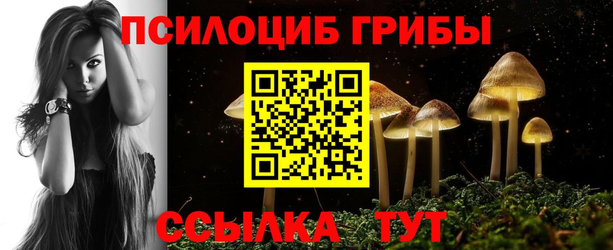 Галлюциногенные грибы ЛСД  Вход с VPN  купить наркотик  Каменск-Шахтинский 